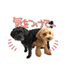 つかちゃんと将太朗（個別スタンプ：15）