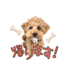 つかちゃんと将太朗（個別スタンプ：18）