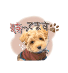 つかちゃんと将太朗（個別スタンプ：20）