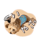 つかちゃんと将太朗（個別スタンプ：23）