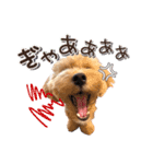 つかちゃんと将太朗（個別スタンプ：24）