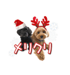 つかちゃんと将太朗（個別スタンプ：31）