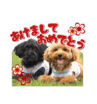 つかちゃんと将太朗（個別スタンプ：32）