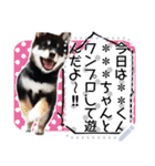 黒柴犬 の♡メッセージ♡スタンプ02 豆柴（個別スタンプ：23）