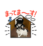 チコちゃんの日常（個別スタンプ：5）