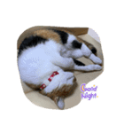 ちくわのちくスタンプ（個別スタンプ：7）