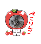 デール姫スタンプ（個別スタンプ：8）