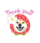 柴犬 ねねちゃん（個別スタンプ：1）