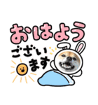 柴犬 ねねちゃん（個別スタンプ：8）