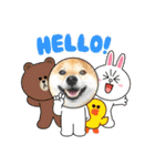 柴犬 ねねちゃん（個別スタンプ：9）