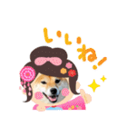 柴犬 ねねちゃん（個別スタンプ：13）