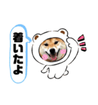 柴犬 ねねちゃん（個別スタンプ：26）