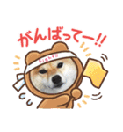 柴犬 ねねちゃん（個別スタンプ：34）