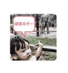 蒼生and蒼葉（個別スタンプ：11）
