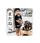 蒼生and蒼葉（個別スタンプ：18）