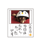 結ちゃん②（個別スタンプ：4）