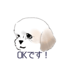 Stickers_Shih Tzu_b シーズースタンプ（個別スタンプ：9）