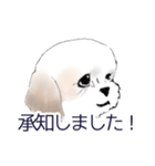 Stickers_Shih Tzu_b シーズースタンプ（個別スタンプ：12）