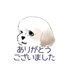 Stickers_Shih Tzu_b シーズースタンプ（個別スタンプ：15）