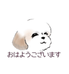 Stickers_Shih Tzu_b シーズースタンプ（個別スタンプ：26）