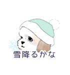 Stickers_Shih Tzu_b シーズースタンプ（個別スタンプ：29）