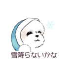 Stickers_Shih Tzu_b シーズースタンプ（個別スタンプ：31）