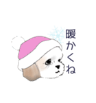 Stickers_Shih Tzu_b シーズースタンプ（個別スタンプ：33）