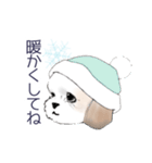 Stickers_Shih Tzu_b シーズースタンプ（個別スタンプ：35）