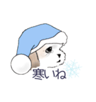 Stickers_Shih Tzu_b シーズースタンプ（個別スタンプ：37）