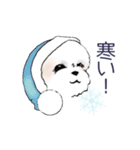 Stickers_Shih Tzu_b シーズースタンプ（個別スタンプ：40）