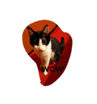 CAT RUU 2（個別スタンプ：16）