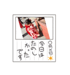 歩紀の七五三（個別スタンプ：3）