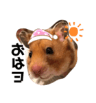 ハムみーちゃん半年記念スタンプ（個別スタンプ：2）