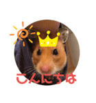 ハムみーちゃん半年記念スタンプ（個別スタンプ：3）