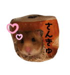 ハムみーちゃん半年記念スタンプ（個別スタンプ：7）