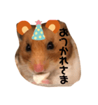 ハムみーちゃん半年記念スタンプ（個別スタンプ：12）