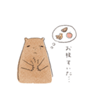 カピまるの日常（個別スタンプ：14）