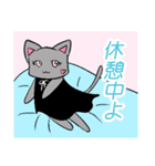 ツンデレ白ねこと灰色姉さんねこ（個別スタンプ：3）