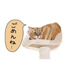 へんてこポーズでぷぷぷのぷ第2弾（個別スタンプ：18）