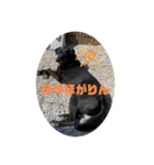 あのこのスタンプ（個別スタンプ：15）