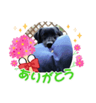 あのこのスタンプ（個別スタンプ：18）