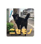 あのこのスタンプ（個別スタンプ：23）