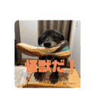 あのこのスタンプ（個別スタンプ：26）