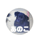 あのこのスタンプ（個別スタンプ：28）