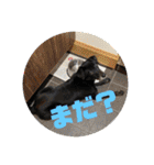 あのこのスタンプ（個別スタンプ：29）