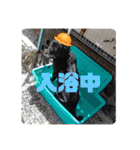 あのこのスタンプ（個別スタンプ：33）