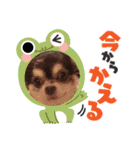 吉永犬わんワン（個別スタンプ：11）