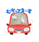 吉永犬わんワン（個別スタンプ：16）