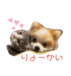 ぽぽちゃちゃわたゆず（個別スタンプ：8）