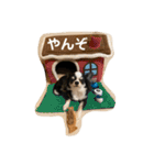 紋二郎と二葉 3（個別スタンプ：16）